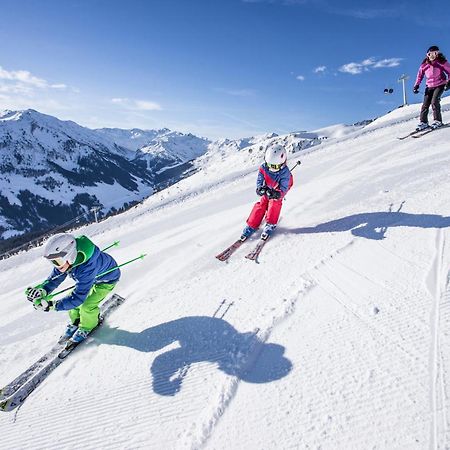 Ibex Apart Διαμέρισμα Aschau Im Zillertal Εξωτερικό φωτογραφία